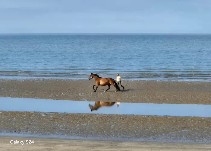 Au Logis De Abi Apartment