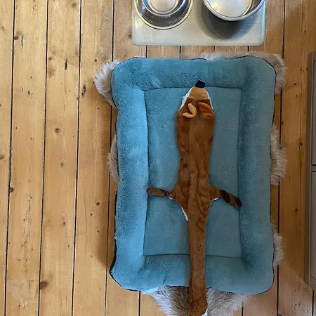 Au Logis De Abi Apartment