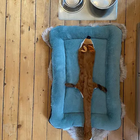 Au Logis De Abi Appartement