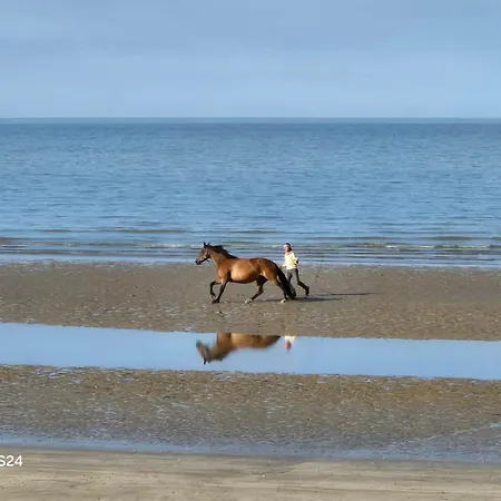 Au Logis De Abi Apartment