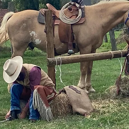 Au Logis De Abi Apartment