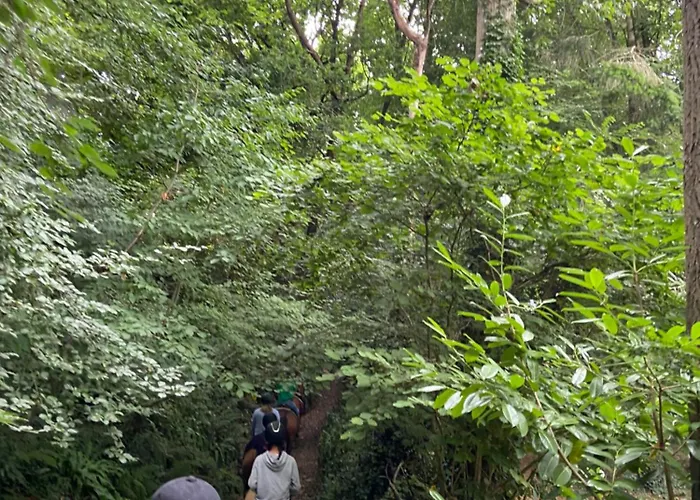 Apartman Au Logis De Abi